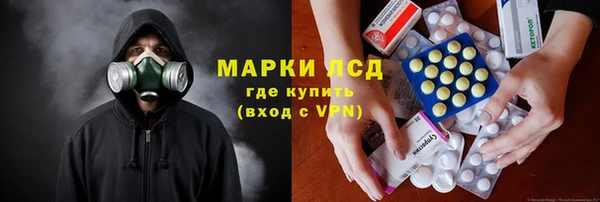 шишки Белокуриха