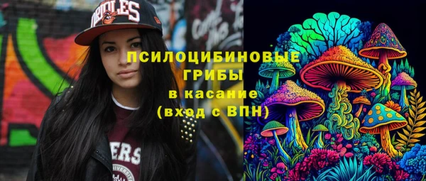 трава Богданович