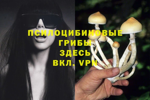 трава Богданович
