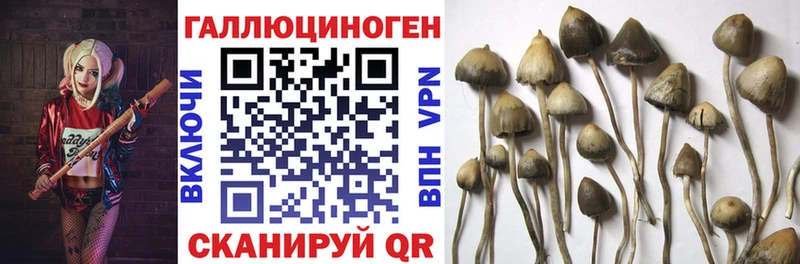 Псилоцибиновые грибы прущие грибы  дарнет шоп  mega ссылка  Маркс 